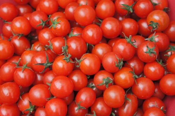 Tomate cerise rouge